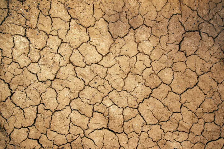 Close-up of dried clay split into plates