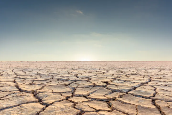 A flat plain of cracked, dried earth under a pale sky