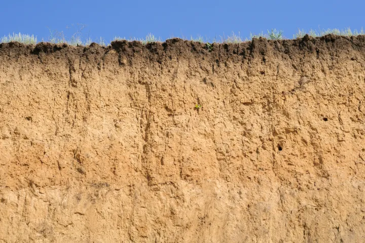 A cut bank of earth showing its layers